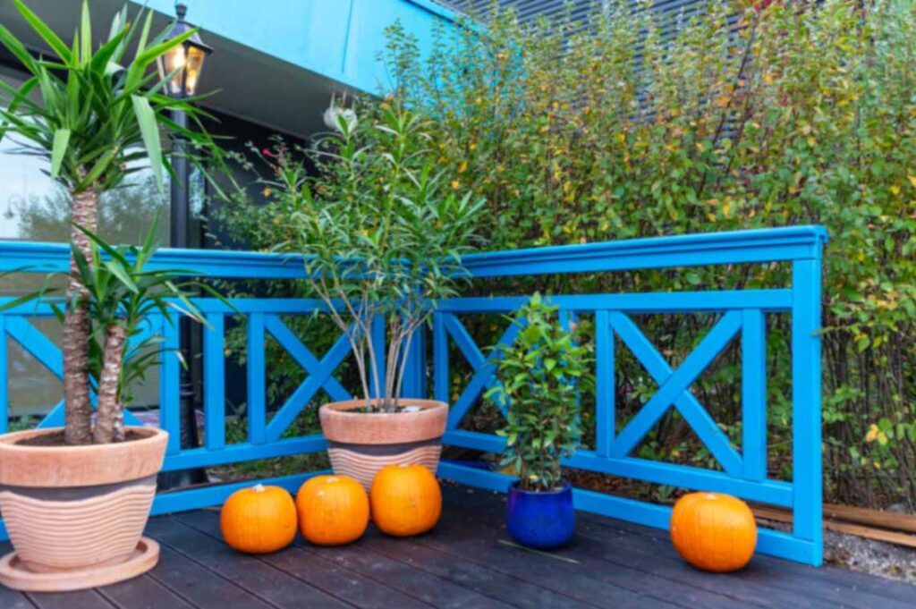 Outdoor deck in Annapolis, MD with blue floor, potted plants, and pumpkins.
